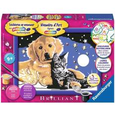 Ravensburger Painting by Number Beautiful Star Sky