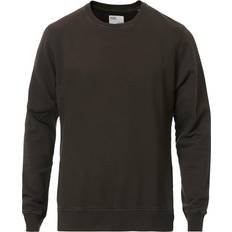 Colorful Standard Classic Organic Crew Neck Sweatshirt - Coffee Brown