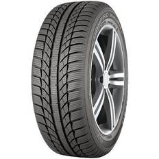 GT Radial Champiro Winterpro 2 195/65 R15 95T XL