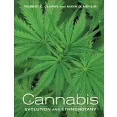 Cannabis Cannabis (Geheftet)