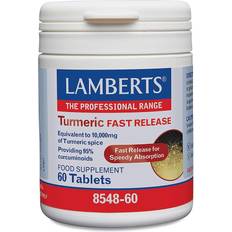 Lamberts Turmeric Fast Release 60 Stk.