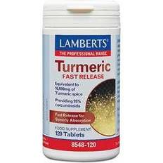 Lamberts Turmeric Fast Release 120 Stk.