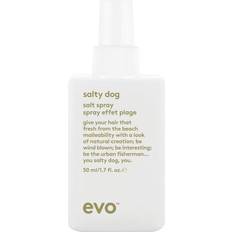 Normales Haar Salzwassersprays Evo Salty Dog Salt Spray