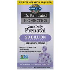 Gut Health Garden of Life Dr. Formulated Probiotics Once Daily Prenatal 30