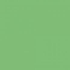 Colortime Card, A4, 210x297 mm, 180 g, grass green, 100 sheet/ 1 pack