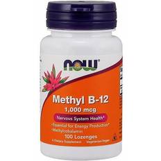 Now Foods Methyl B-12 1000mcg 100