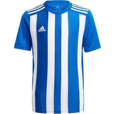 Adidas Striped 21 Jersey Kids - Team Royal Blue/White