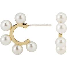 Dame - Gull Øredobber Everneed Charlene Earrings - Gold/Pearls