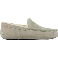 UGG Ascot - Pumice