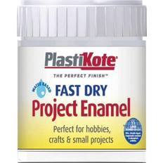 Plasti-Kote Fast Dry Enamel Paint B30 Bottle Silver Aluminium 59ml