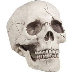 Boland 10106128 74362 Decoration Skull Maxilla with Openable Mandible, White
