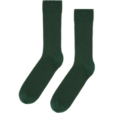 Colorful Standard Classic Organic Sock - Emerald Green