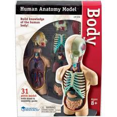 Science & Magic Learning Resources Anatomy Model Human Body