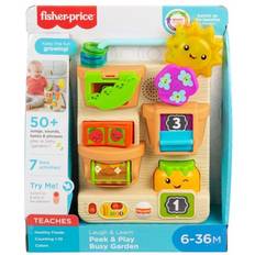 Fisher Price Laugh & Learn Peek & Play Busy Garden