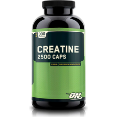 Optimum Nutrition Creatine Optimum Nutrition Creatine 2500 Caps