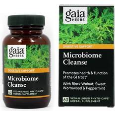 Sweet Wormwood: Gaia Herbs®