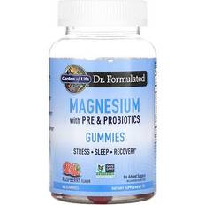 Vitamins & Minerals Garden of Life Dr. Formulated Magnesium Gummies Raspberry 60 Gummies