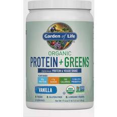 L-Tyrosine Protein Powders Garden of Life Organic Protein + Greens Vanilla 494g