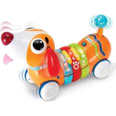 Interactive Pets Winfun Remote Control Rainbow Pup