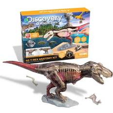 4D T Rex Dinosaur Anatomy Kit