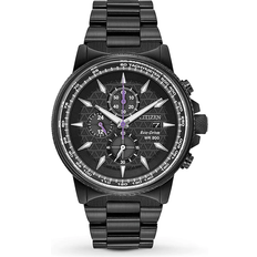 Citizen Black Panther (CA0297-52W)