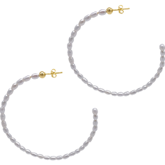 Adornia Seed Hoops - Gold/Pearl