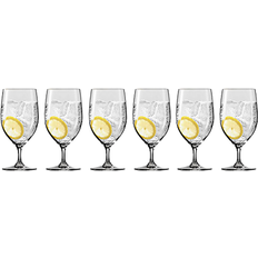 Schott Zwiesel Forte Drinking Glass 44.9cl 6pcs