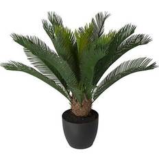 Newport Cycas krukväxt grön 70cm