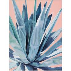 Trademark Fine Art Alana Clumeck Agave with Coral Poster 35x47"