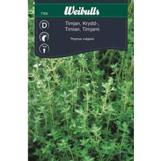 Weibulls Thyme Spice