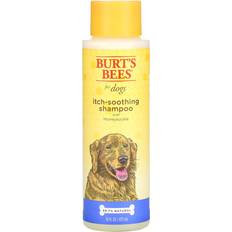 Burt's Bees Itch Soothing Shampoo with Honeysuckle