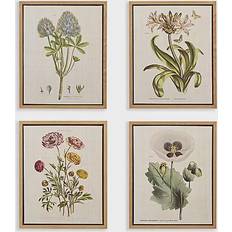 Martha Stewart Herbal Botany 4pcs Framed Art 17.8x21.8" 4