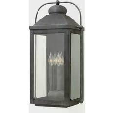 Hinkley Anchorage 4L Wall light