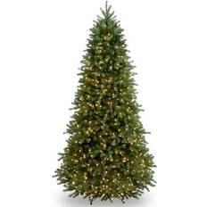 Christmas Trees National Tree Company 6.5 ft Jersey Frasier Fir Christmas Tree