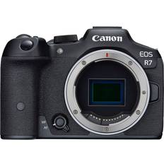 Elektronisk (EVF) Speilløse systemkameraer Canon EOS R7