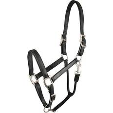 Gatsby Adjustable Padded Leather Halter