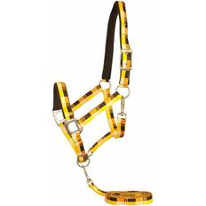 Gatsby Terra Fleece Padded Nylon Halter with Matching Lead Cob