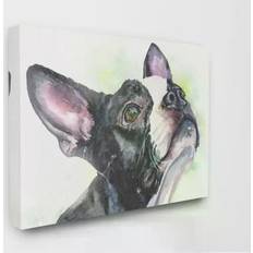 Stupell Boston Terrier Dog Pet Framed Art 20x16"