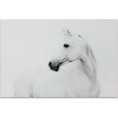 Glass Posters Empire Art Direct Blanco Stallion Horse Poster 48x32"