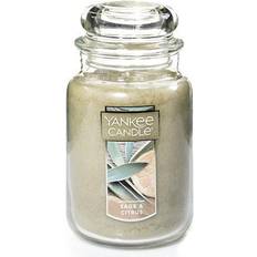 Green Candlesticks, Candles & Home Fragrances Yankee Candle Sage & Citrus Scented Candle 22oz