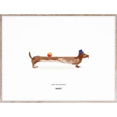Paper Collective Doug the Dachshund 50x70 cm Poster