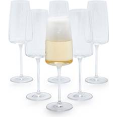 Champagne Glasses Schott Zwiesel Sensa 6-Piece Flute Set Clear Champagne Glass