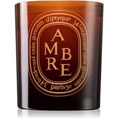 Diptyque Ambre Scented Candle 10.6oz