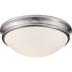 Millennium Lighting 25.4cm Ceiling Flush Light 10"