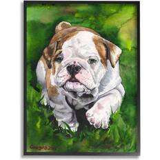 Stupell Industries English Bulldog Puppy Dog Pet by George Dyachenko Framed Art 24x30"