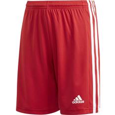 Adidas Boy's Squadra Shorts - Team Power Red