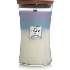 Woodwick Ellipse Scented Candle • See best price »