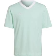 Türkis Oberteile adidas Trænings T-Shirt Entrada Grøn/Hvid Børn 164