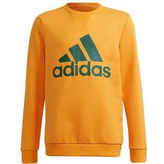 Adidas Performance Sweatshirt - Semi Solar Gold/Collegiate (GS4274)