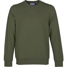 Colorful Standard Sweater Seaweed Dark